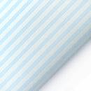 Koženka Outdoor  Stripe