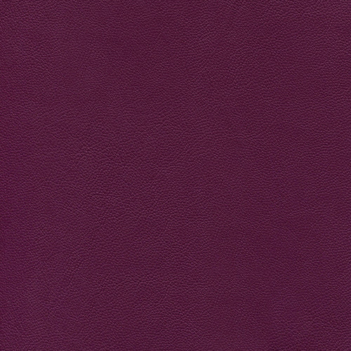 Piele Ecologica Inca