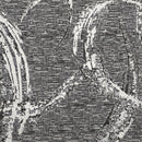 Vzorek - Beta