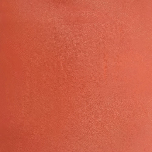 Ekologická kůže Capro NW