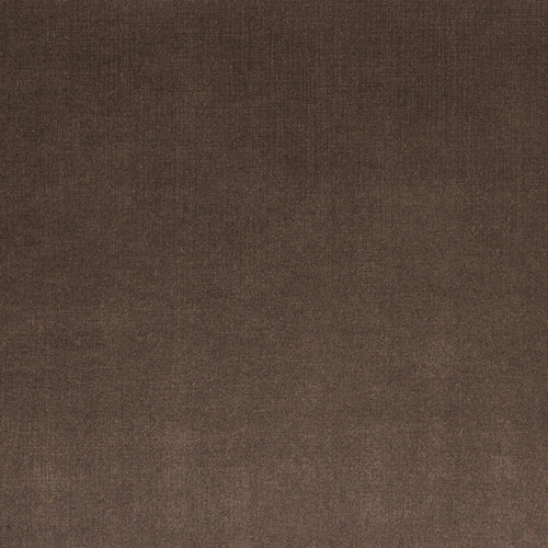 Piele Ecologica Daytona