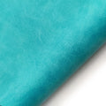 #Culoare_01