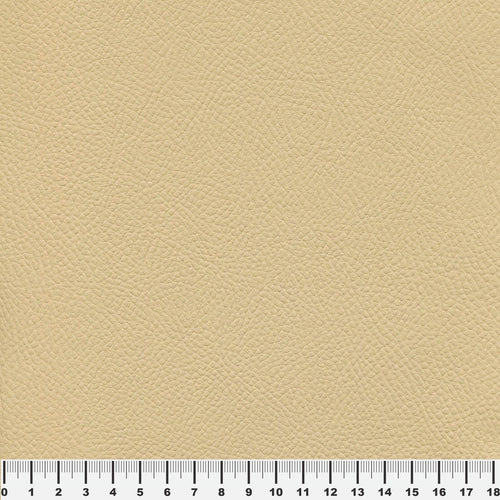 Piele Ecologica Covantry